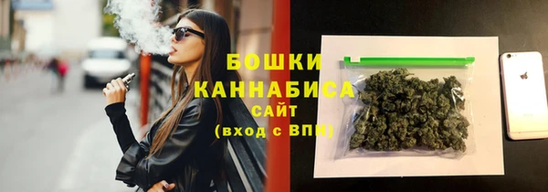 крисы Дмитров