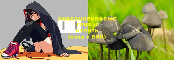 герыч Покачи