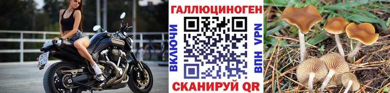 Псилоцибиновые грибы MAGIC MUSHROOMS  где купить наркотик  Свободный 