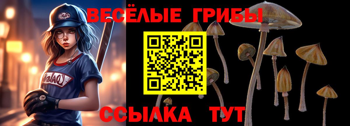 Свободный  Псилоцибиновые грибы Cubensis  Вход с VPN 