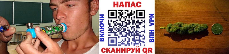 Шишки марихуана Bruce Banner  Свободный 